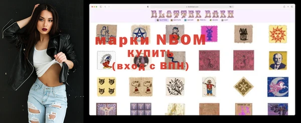 бошки Алексин